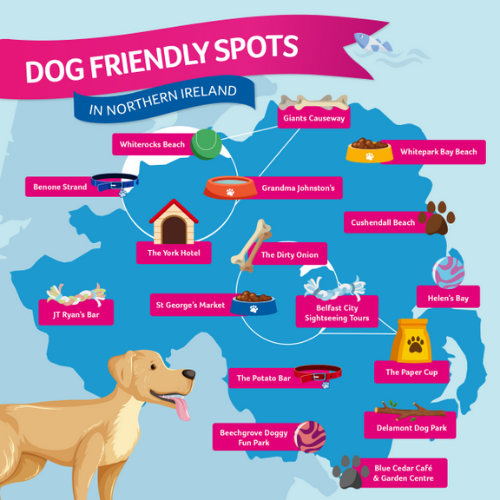 Illustration-of-dog-friendly-spots-in-Northern-Ireland.png