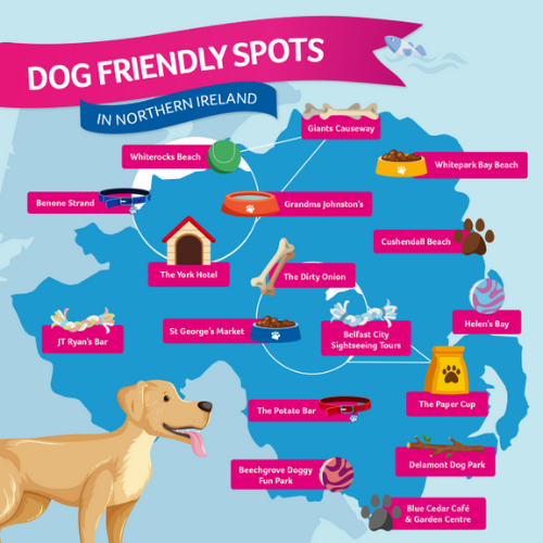 Places to go with store your dog near me