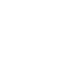 “Five star service” icon