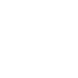 Make the Most of Charging at Home   icon